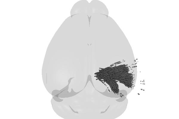 ../../../../_images/urchin_tutorials_urchin-examples_basics_neurons_particles_16_1.png